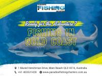 Paradise Fishing Charters Gold Coast image 18